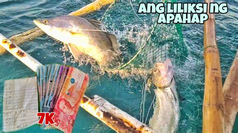 jackpot si mark ang ganda ng natikmang dilag|Google Translate.